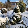 Сад принарядился к Новому году ❄️🌲❄️🌳❄️👌