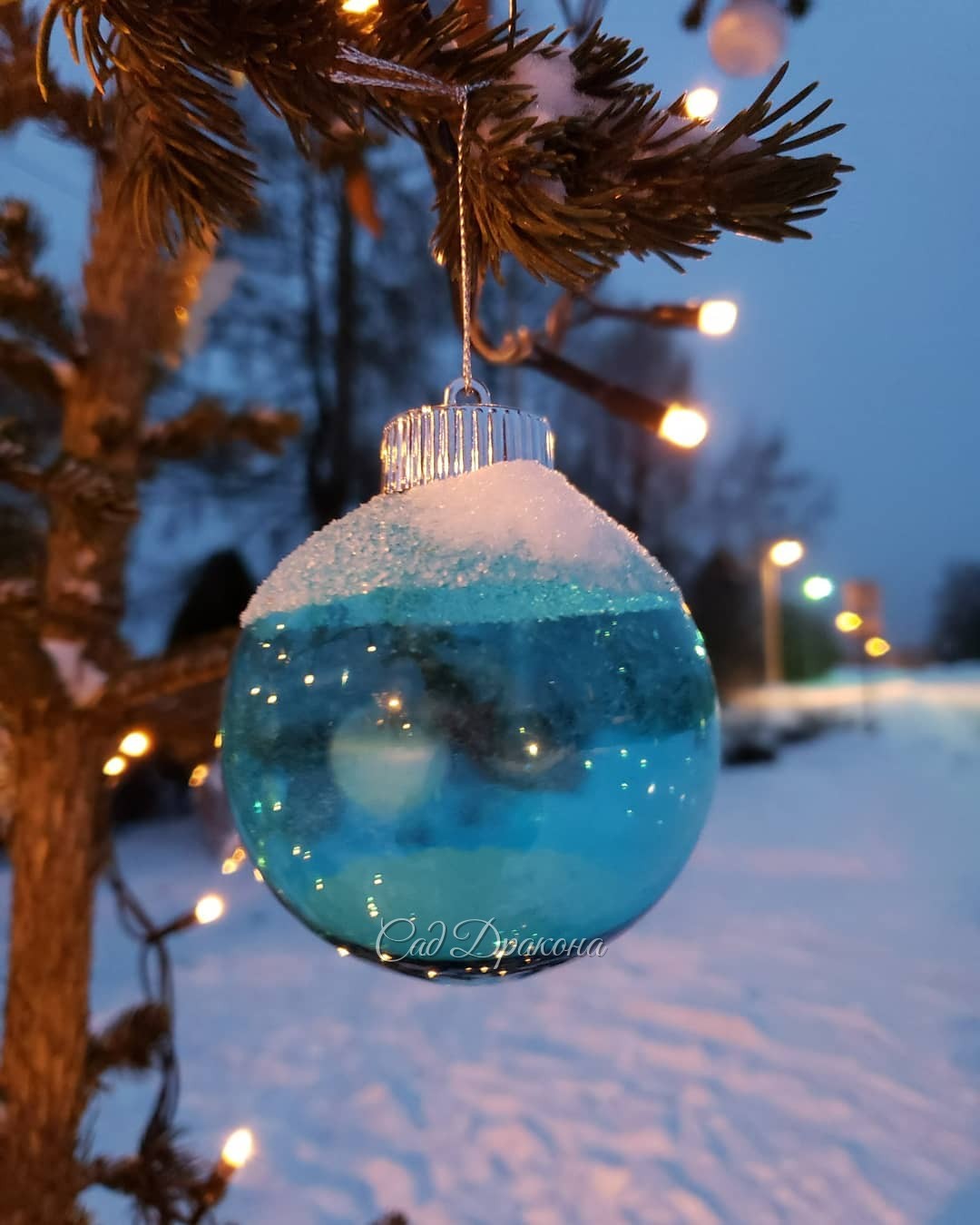 Мы нарядили опять нашу Lucky Strike на улице 🌟🎄 И снова сердечно благодарим всех наших друзей, - старых и новых, за то, что были с нами в этом сезоне 🙏💓💓💓 За то, что смотрели, ❤️ приезжали, 👭👫 что с одобрением принимали изменения в нашем саду 🏞️ За добрые