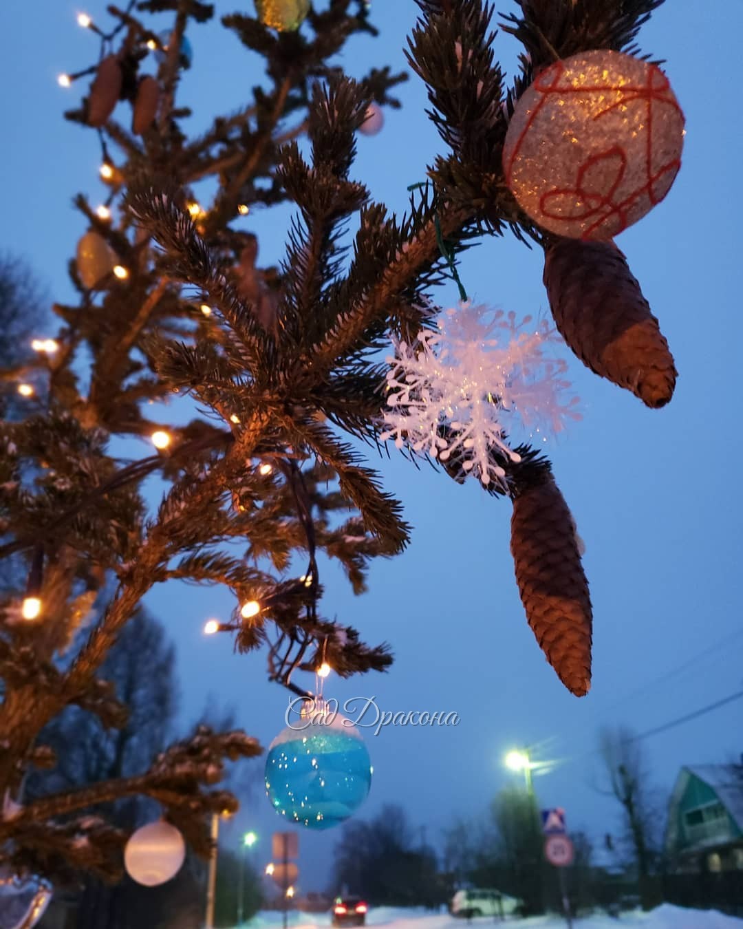 Мы нарядили опять нашу Lucky Strike на улице 🌟🎄 И снова сердечно благодарим всех наших друзей, - старых и новых, за то, что были с нами в этом сезоне 🙏💓💓💓 За то, что смотрели, ❤️ приезжали, 👭👫 что с одобрением принимали изменения в нашем саду 🏞️ За добрые