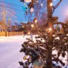 Мы нарядили опять нашу Lucky Strike на улице 🌟🎄 И снова сердечно благодарим всех наших друзей, - старых и новых, за то, что были с нами в этом сезоне 🙏💓💓💓 За то, что смотрели, ❤️ приезжали, 👭👫 что с одобрением принимали изменения в нашем саду 🏞️ За добрые