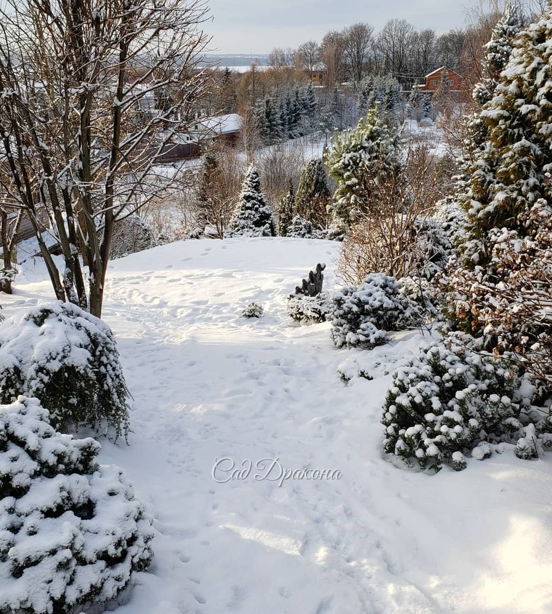 Сегодня день ещё лучше, даже солнышко выглянуло, тепло и тихо :) ☀️🌲❄️ Снято с одного и того же места - 1-вид наверх, 2-вниз. Лёд на веточках где-то подтаял, где-то нет... ❄️💧Постояла бы такая погодка! 🙏