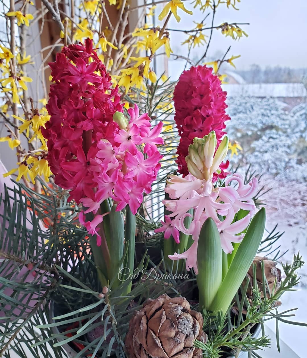 С Рождеством! ✨ Светлого праздника! 🌟 Любви и радости, добрых надежд! 🌸💖🌿