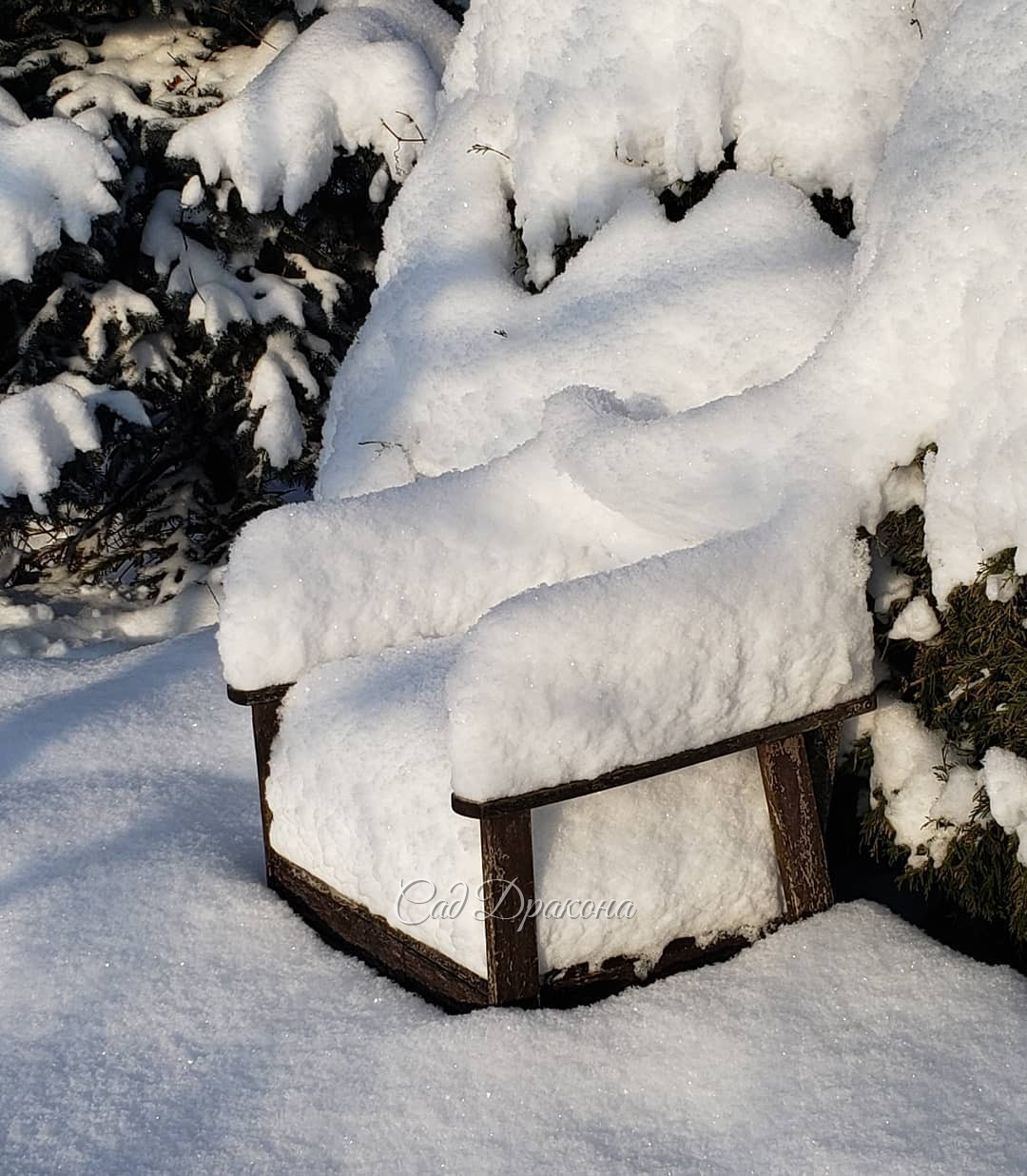 Садовая скамейка приобрела спинку с китайским изгибом ⛩️❄️😉 А кресло-трон ❄️ обнимает туя :) Фото вчерашние - сегодня не смогла себя заставить выйти в метель 🤦‍♀️❄️❄️❄️🌬️ Курочек Женя навещал 🐓😘