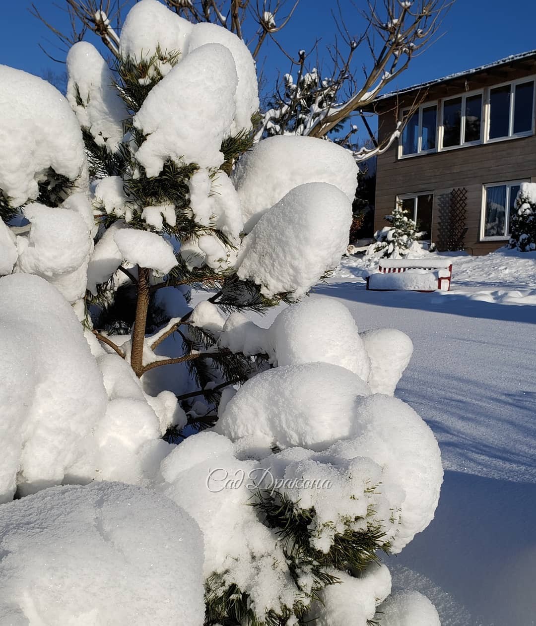 Хочется небольшой передышки... от зимы 😉❄️🌨️⛄ Утром - 28°, в курятнике замёрзла вода, машина не завелась... 🚘 Вчера полдня чистили снег... 💪 ❄️❄️❄️ Можно, 🙏чтобы солнышко, ☀️ - 10, и без осадков? 🙋‍♀️ Многого прошу? :)