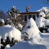 Хочется небольшой передышки... от зимы 😉❄️🌨️⛄ Утром - 28°, в курятнике замёрзла вода, машина не завелась... 🚘 Вчера полдня чистили снег... 💪 ❄️❄️❄️ Можно, 🙏чтобы солнышко, ☀️ - 10, и без осадков? 🙋‍♀️ Многого прошу? :)