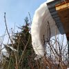 В Татьянин день и солнышко поздравило :) ☀️ Сразу стало слышно голоса птиц, 🐦 🎶 с крыши дровника съехал язык снега, ❄️ в воздухе повеяло настоящим тёплом! ☀️