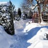 Ну, вот, всю эту зимнюю красоту (кроме кота)) с обеда опять заваливает снегом! ❄️🌨️❄️ Небесный художник решил добавить беленького, прежний результат его не устроил 🖼️🎨😅 Пришёл наш друг Нусрат, с порога спросил - Это настоящая русская зима, да? Что тут отв