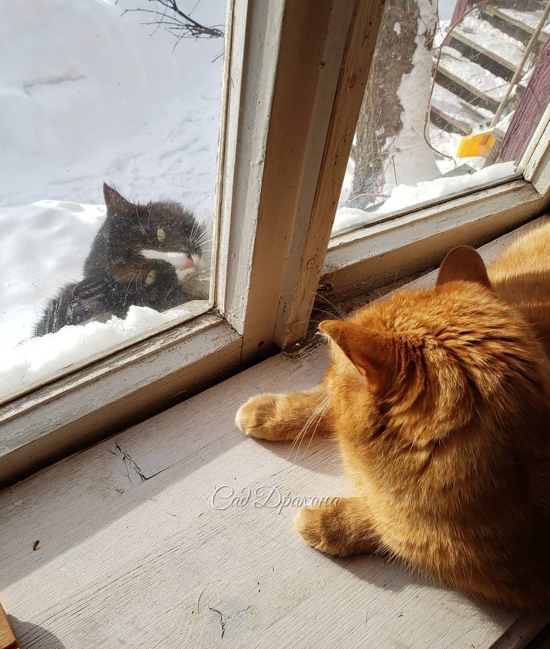 Листайте! 😊➡️ 1 - Открой немедленно! 😾 2 - Ну, пожааалуйста! 🐱🐾