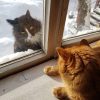 Листайте! 😊➡️ 1 - Открой немедленно! 😾 2 - Ну, пожааалуйста! 🐱🐾