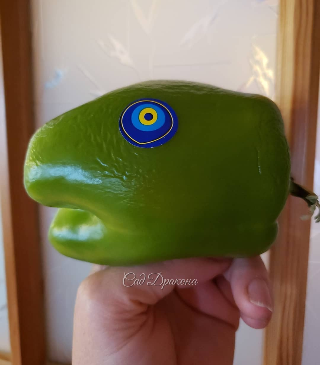 Такой перец нам продали в магазине - "Улыбнись, покупатель! " 🦖💚👀