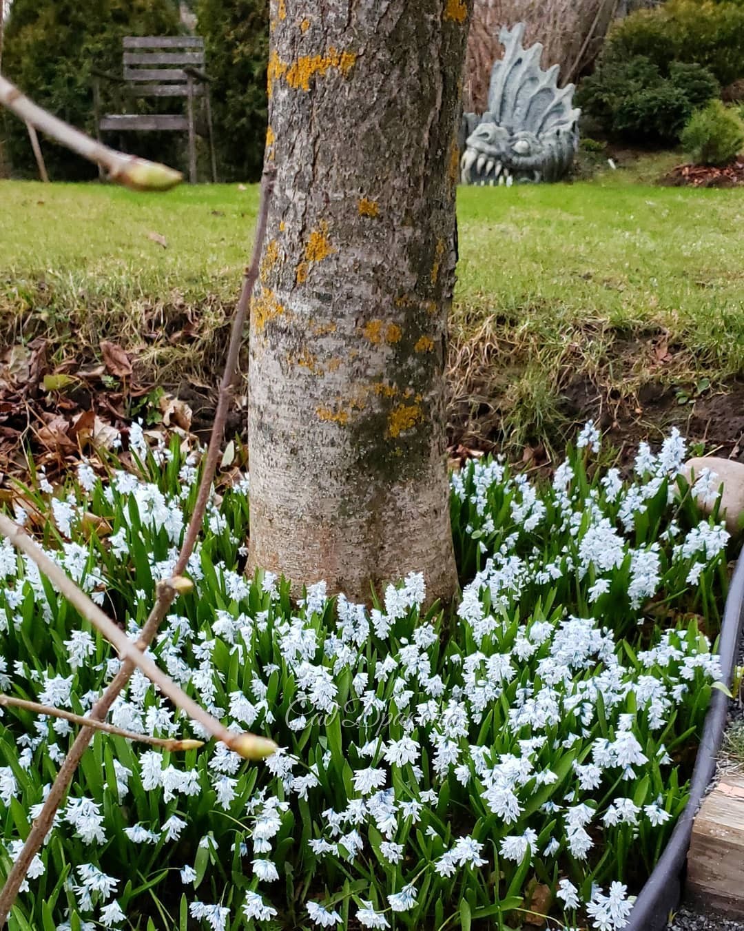 🌸 Дни открытых дверей! 🤗 Они будут продолжаться до конца майских праздников с 10 до 18 часов.