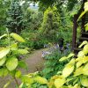Хорошего лета всем, дорогие друзья! 💚🌸🐈🌺🌿🌲🥰