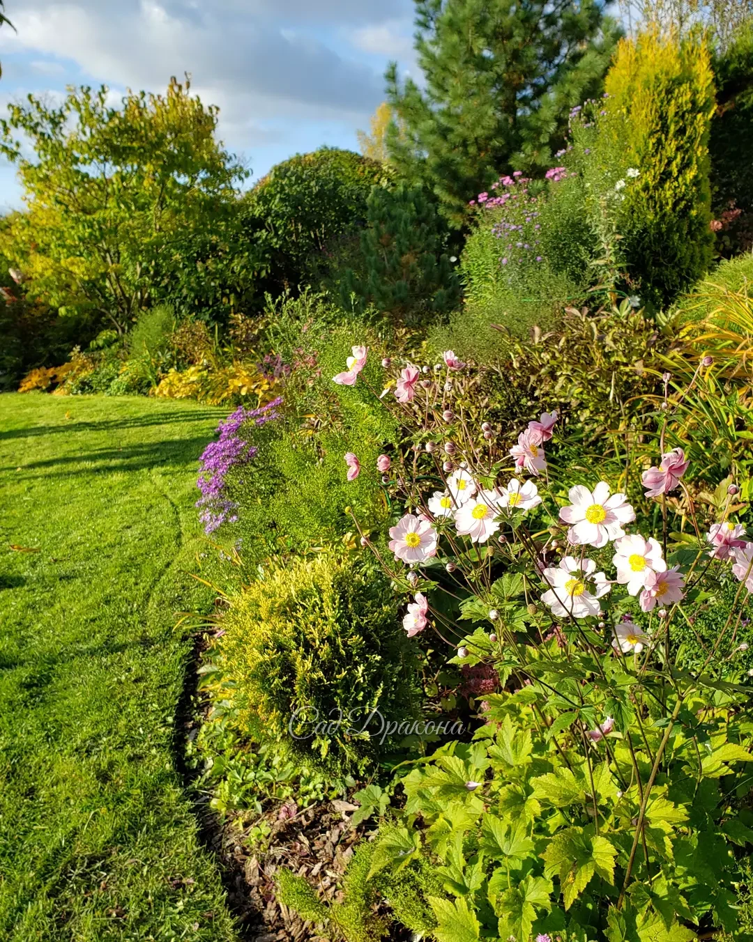 Ура! Солнце! ☀️😁 🙌 Мы соскучились! Сразу всё заиграло красками 🌿🌸🍂🍁🐈