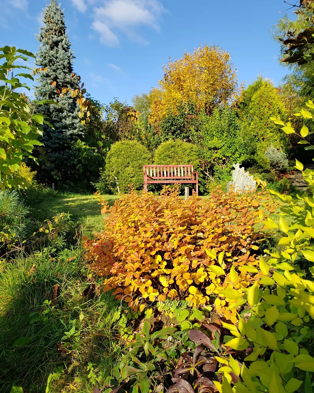 Ура! Солнце! ☀️😁 🙌 Мы соскучились! Сразу всё заиграло красками 🌿🌸🍂🍁🐈