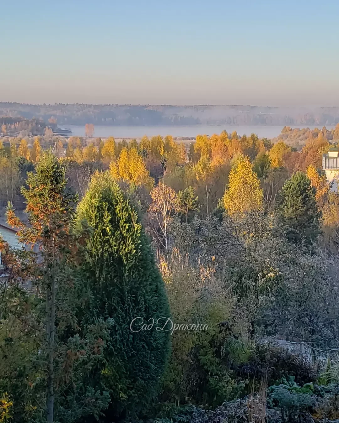Иней на траве, туман над водой - каждое утро в эти прекрасные ясные дни ☀️🍂🌸