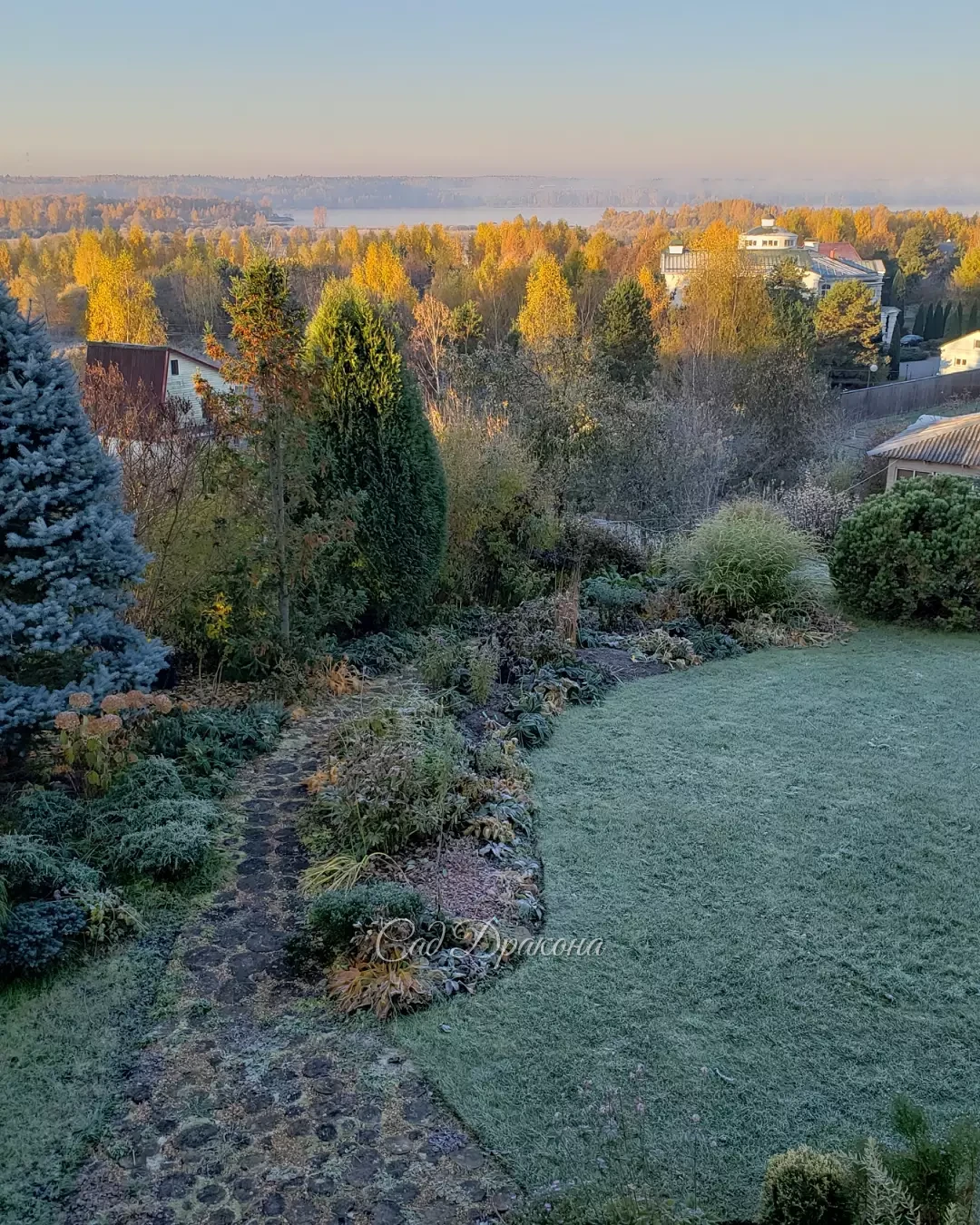 Иней на траве, туман над водой - каждое утро в эти прекрасные ясные дни ☀️🍂🌸