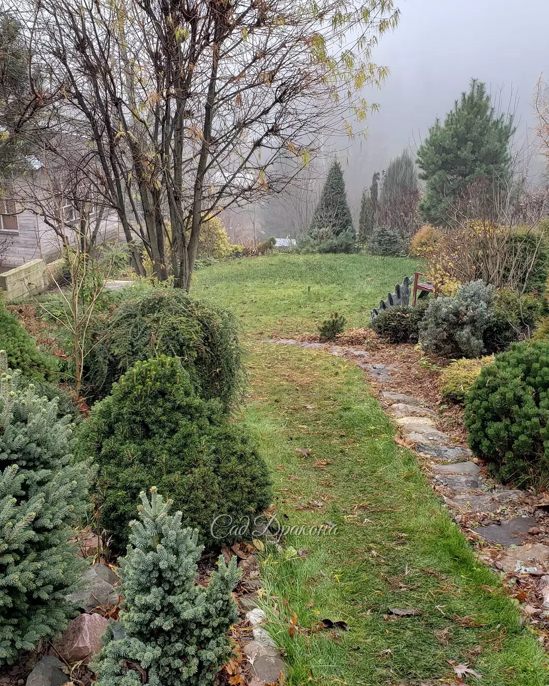 У нас не было мороза, только туман 🌫️ Красиво, загадочно, даже звуки летят по-другому 🐦🎶 Очень мягкий, приятный день 💙 Любите туман? Мы - да 😇