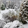 Эта нежная белизна продержалась только до середины дня ❄️🌨️❄️🤗