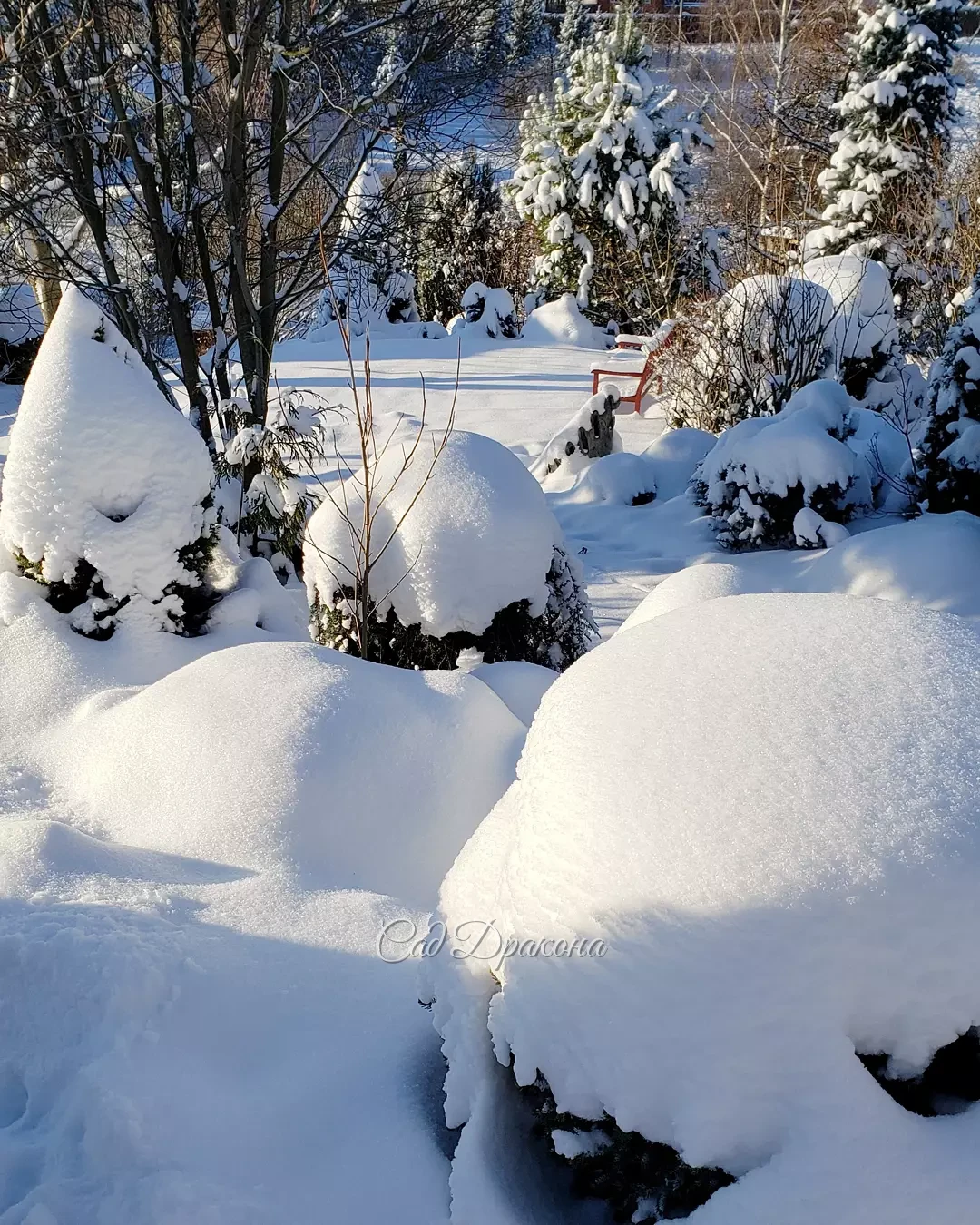 Сегодняшние зимние картинки 💙❄️🌲 Спасибо за солнышко, мы уже соскучились! ☀️⛄😀