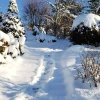 Сегодняшние зимние картинки 💙❄️🌲 Спасибо за солнышко, мы уже соскучились! ☀️⛄😀