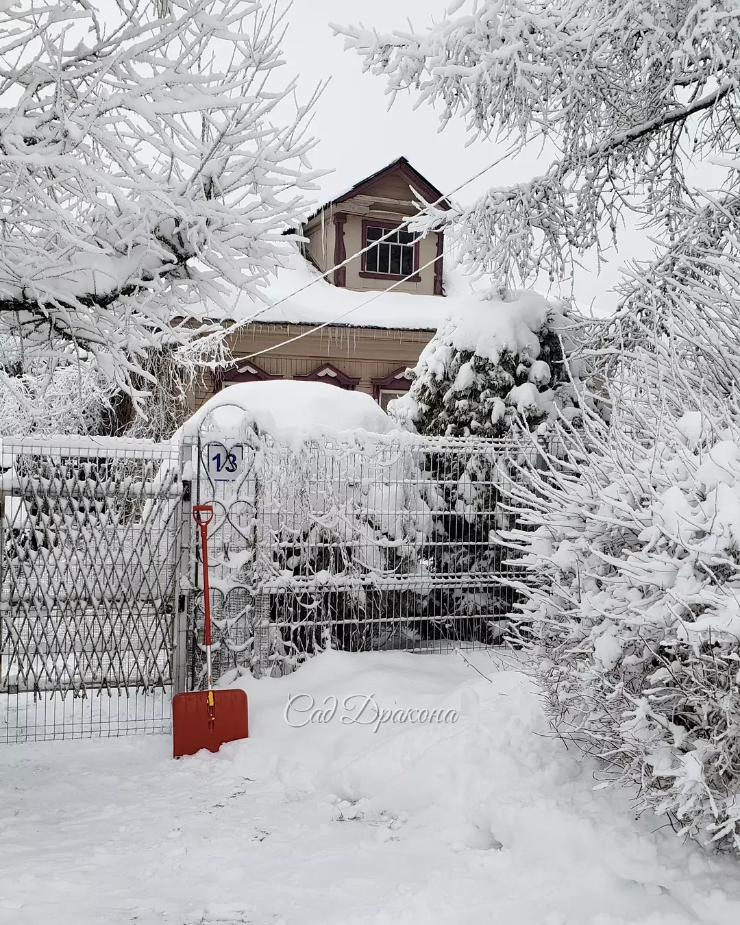 На память о белоснежных днях ❄️🏠❄️🌲❄️🐈 Сейчас теплеет, начинает потихоньку таять... 💧