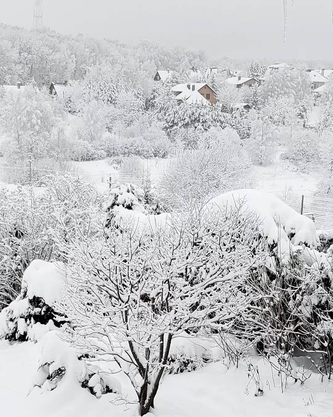 Ещё несколько фото на память о невероятно белых днях ❄️❄️❄️ Вчера были виды сада, а сегодня - дальние, со второго этажа. Спасибо, зима, за красоту! 😍❄️❄️❄️