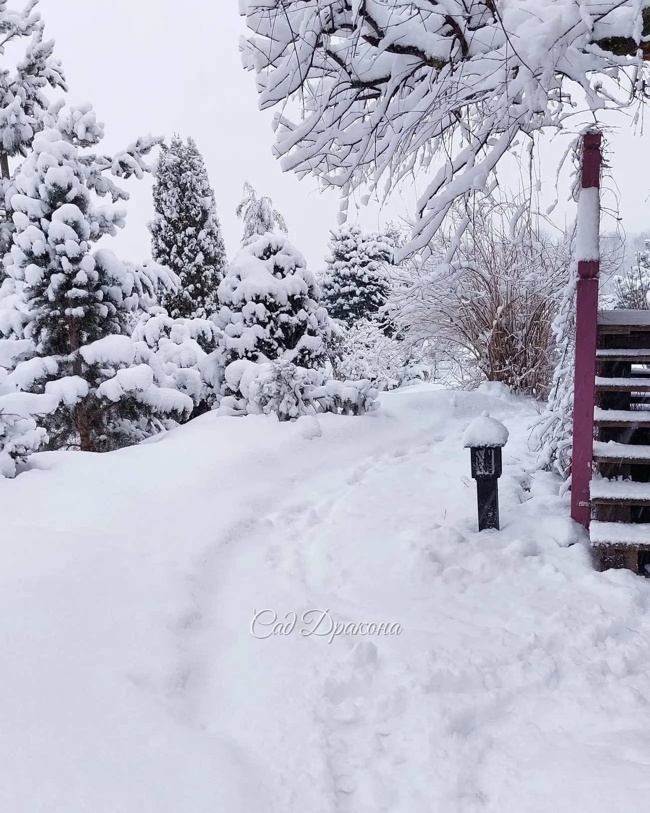 Шутки апреля 🤗🌨❄️❄️❄️