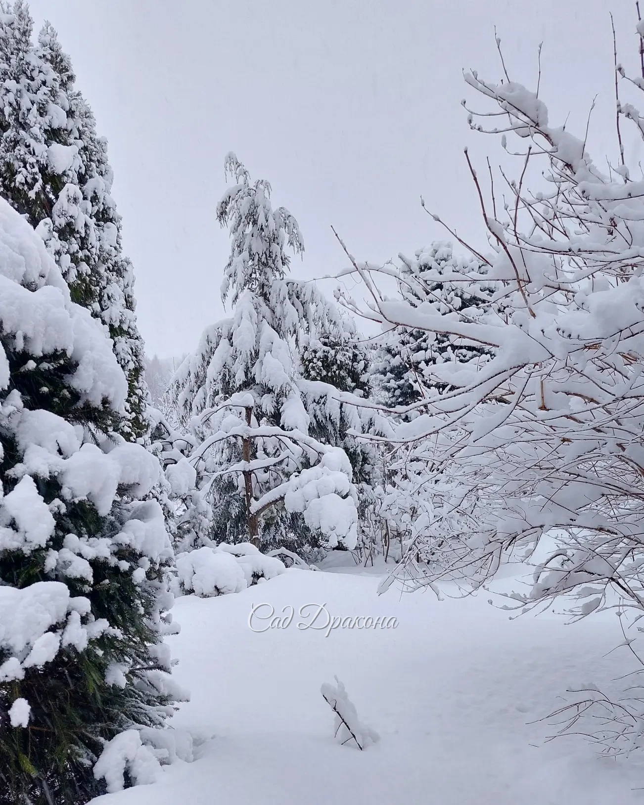 Шутки апреля 🤗🌨❄️❄️❄️