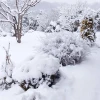 Шутки апреля 🤗🌨❄️❄️❄️
