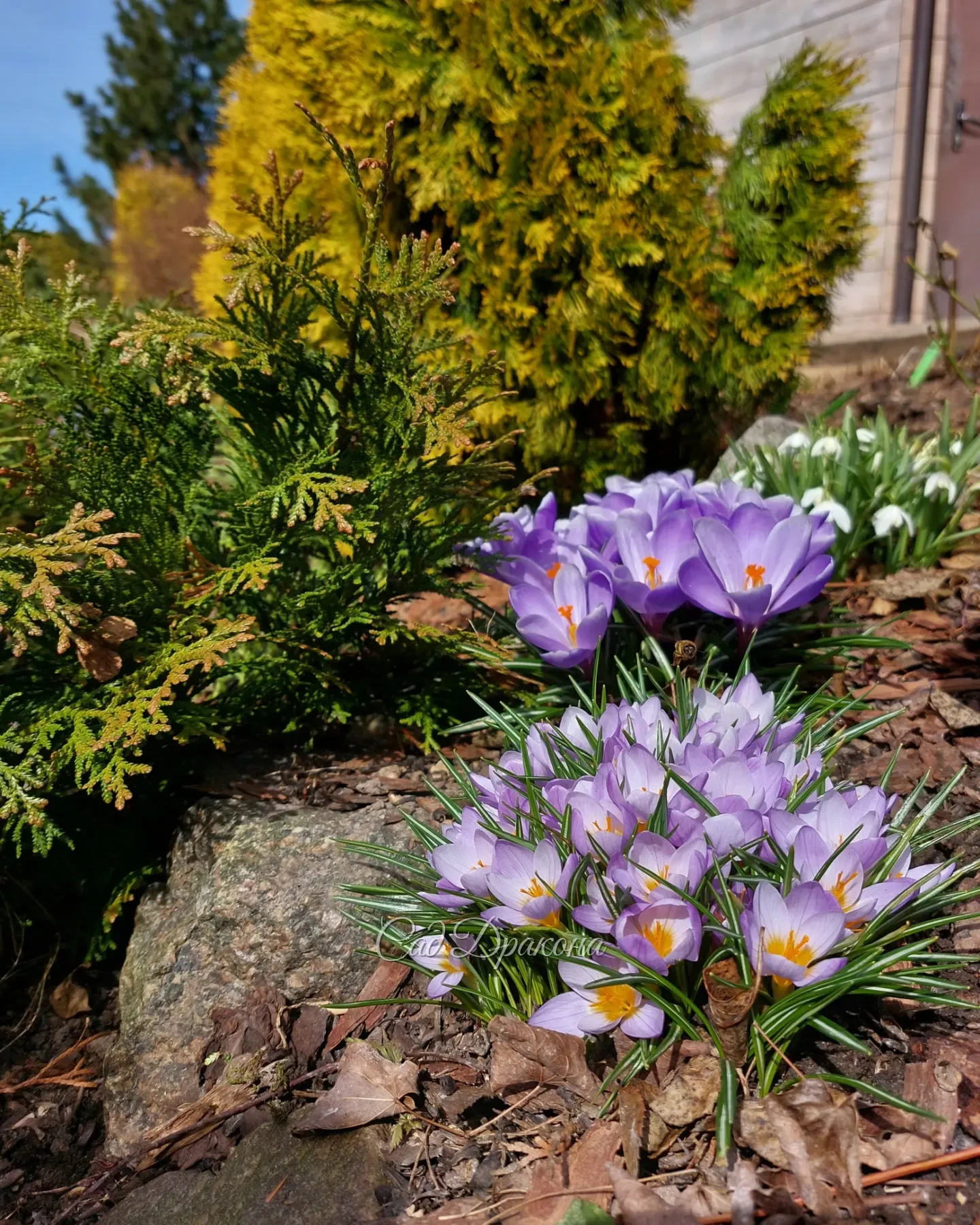 Чем порадовал сегодняшний день ☀️
