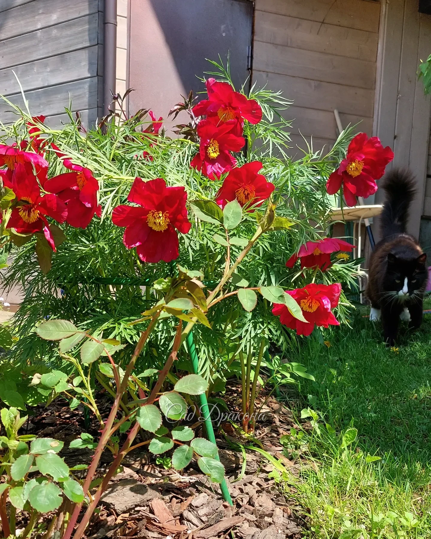 Июнь, самый яркий месяц! 🌺🌞 И всё лето впереди! 🥰💚