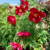 Июнь, самый яркий месяц! 🌺🌞 И всё лето впереди! 🥰💚