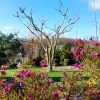 Ещё вчера было так 🌞🌸🌳 А сегодня под вечер снееег... 🌨 🤦‍♀️