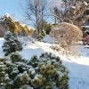 Зима пришла вовремя, мороз и солнце, иней на веточках, всё как полагается 🤗☀️❄️☃️ Вот бы ещё и ушла по расписанию, 1 марта 😅💧🌱