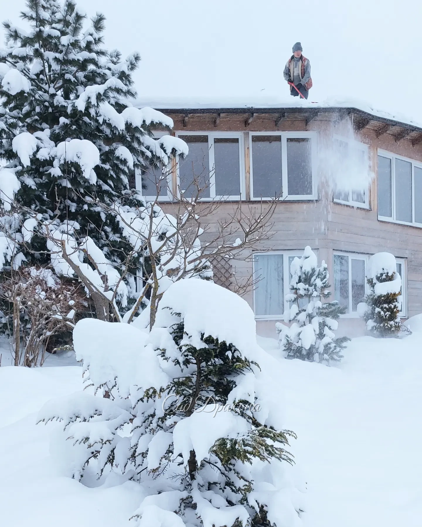 Все выходные провели за расчисткой снега ❄️ Дорожки, автостоянки, крыша... и опять дорожки 😅 Замело знатно, не помню такого снежного декабря, даже окна залепило 😍❄️☃️