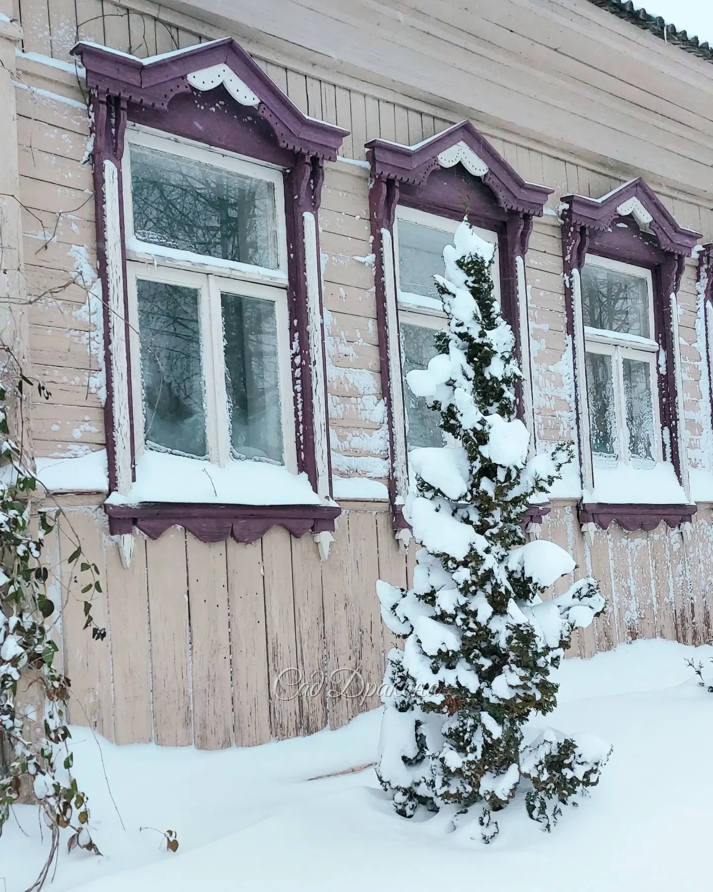 Все выходные провели за расчисткой снега ❄️ Дорожки, автостоянки, крыша... и опять дорожки 😅 Замело знатно, не помню такого снежного декабря, даже окна залепило 😍❄️☃️