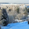 В этом году крещенские морозы наступили досрочно ❄️🤗❄️ Сегодня холоднее, и инея больше, дубовая роща вся седая, как и берёзы на первом фото ❄️🌲❄️ Любуюсь из окна, вышла пофотографировать, моментально замёрзла! 😆⛄️