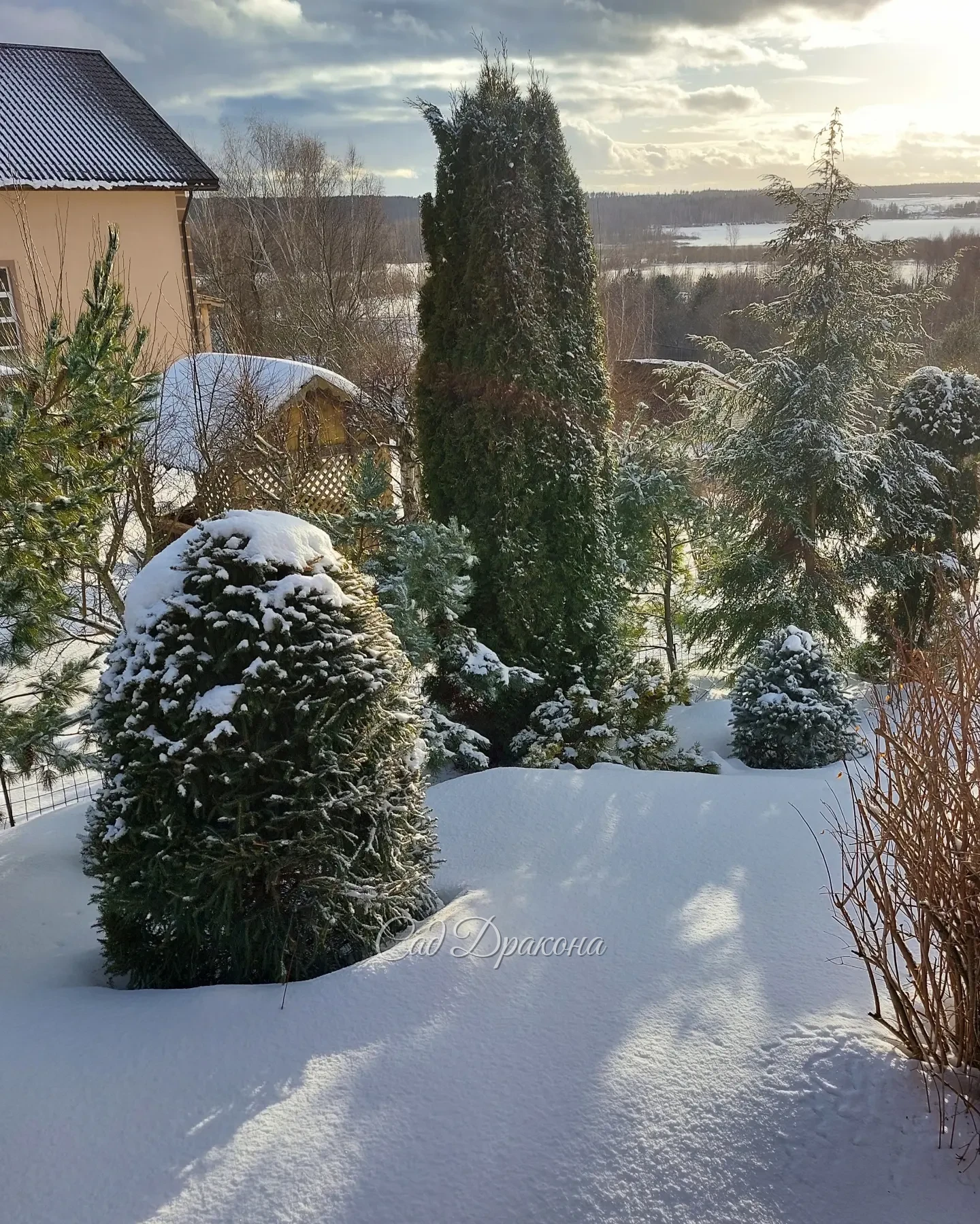Света с каждым днём всё больше, ☀️краски ярче, 🌲 а когда солнышко выглядывает, то совсем уже чувствуется весна! 🌤💧 С наступающим праздником, дорогие дамы, девушки, девочки, пусть в вашей жизни будет побольше радости и цветов! 🌷🩷🌷🩷🌷