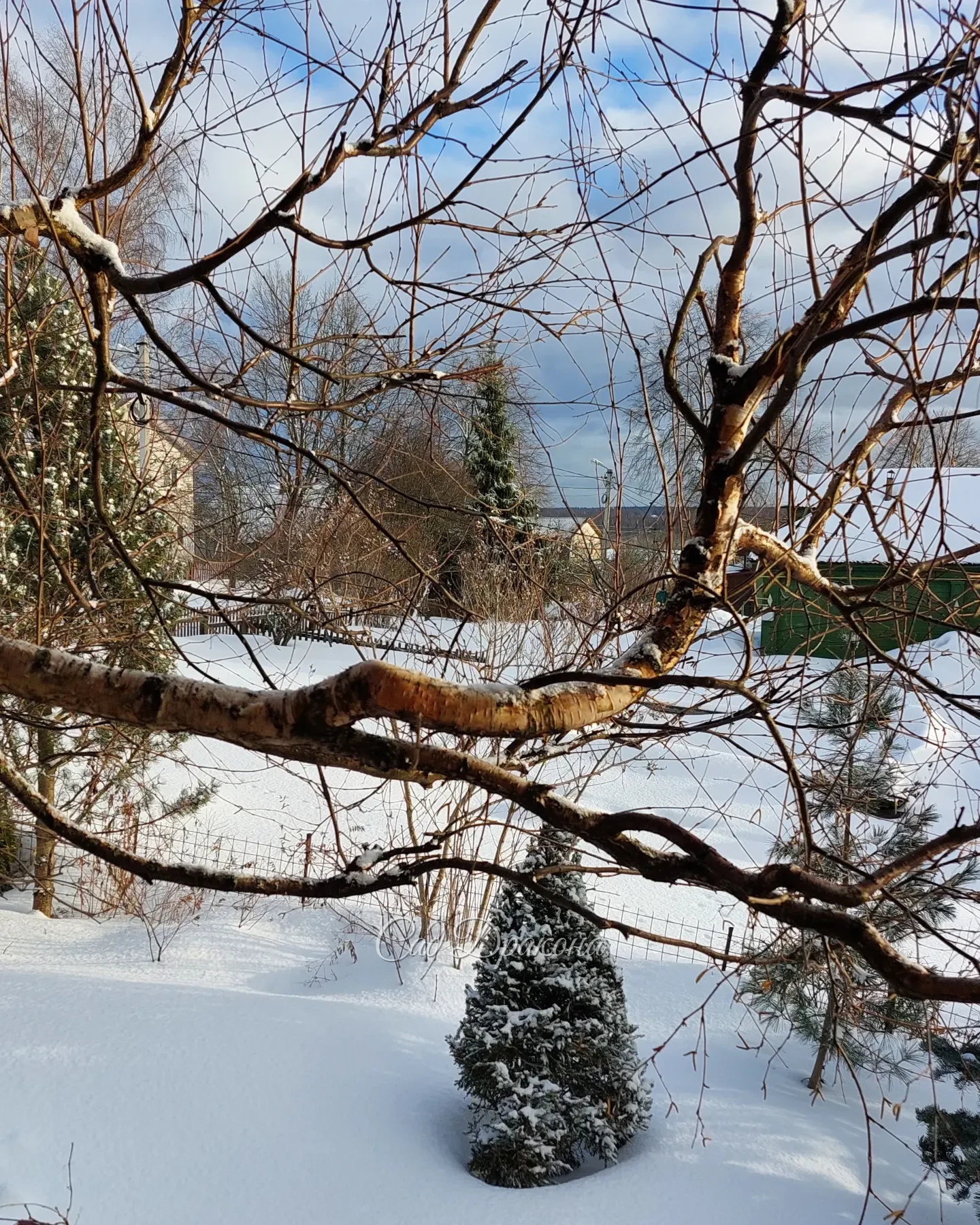 Света с каждым днём всё больше, ☀️краски ярче, 🌲 а когда солнышко выглядывает, то совсем уже чувствуется весна! 🌤💧 С наступающим праздником, дорогие дамы, девушки, девочки, пусть в вашей жизни будет побольше радости и цветов! 🌷🩷🌷🩷🌷