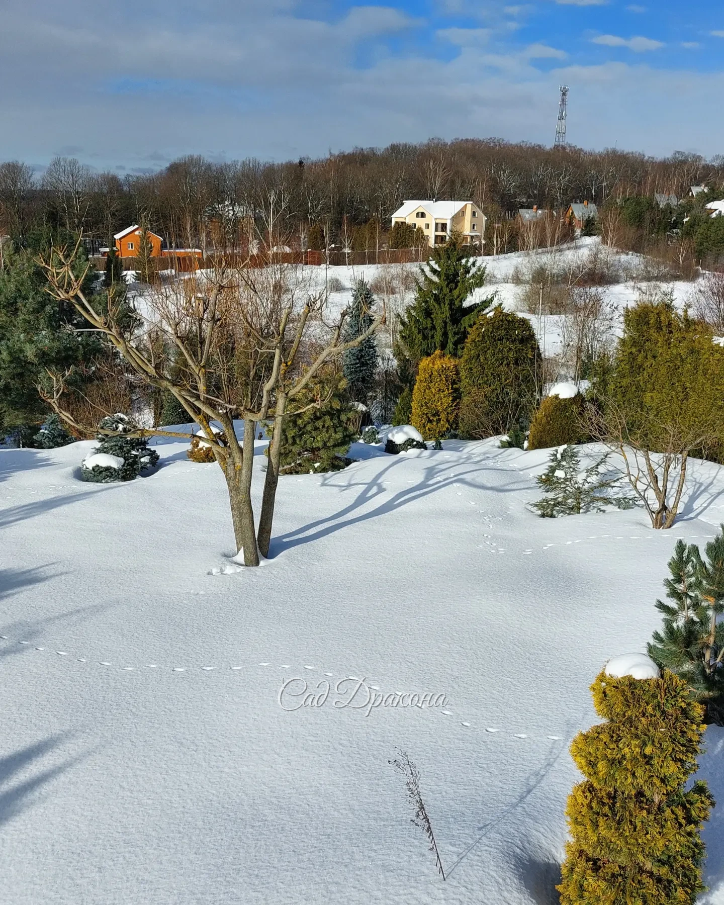 Света с каждым днём всё больше, ☀️краски ярче, 🌲 а когда солнышко выглядывает, то совсем уже чувствуется весна! 🌤💧 С наступающим праздником, дорогие дамы, девушки, девочки, пусть в вашей жизни будет побольше радости и цветов! 🌷🩷🌷🩷🌷