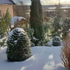 Света с каждым днём всё больше, ☀️краски ярче, 🌲 а когда солнышко выглядывает, то совсем уже чувствуется весна! 🌤💧 С наступающим праздником, дорогие дамы, девушки, девочки, пусть в вашей жизни будет побольше радости и цветов! 🌷🩷🌷🩷🌷