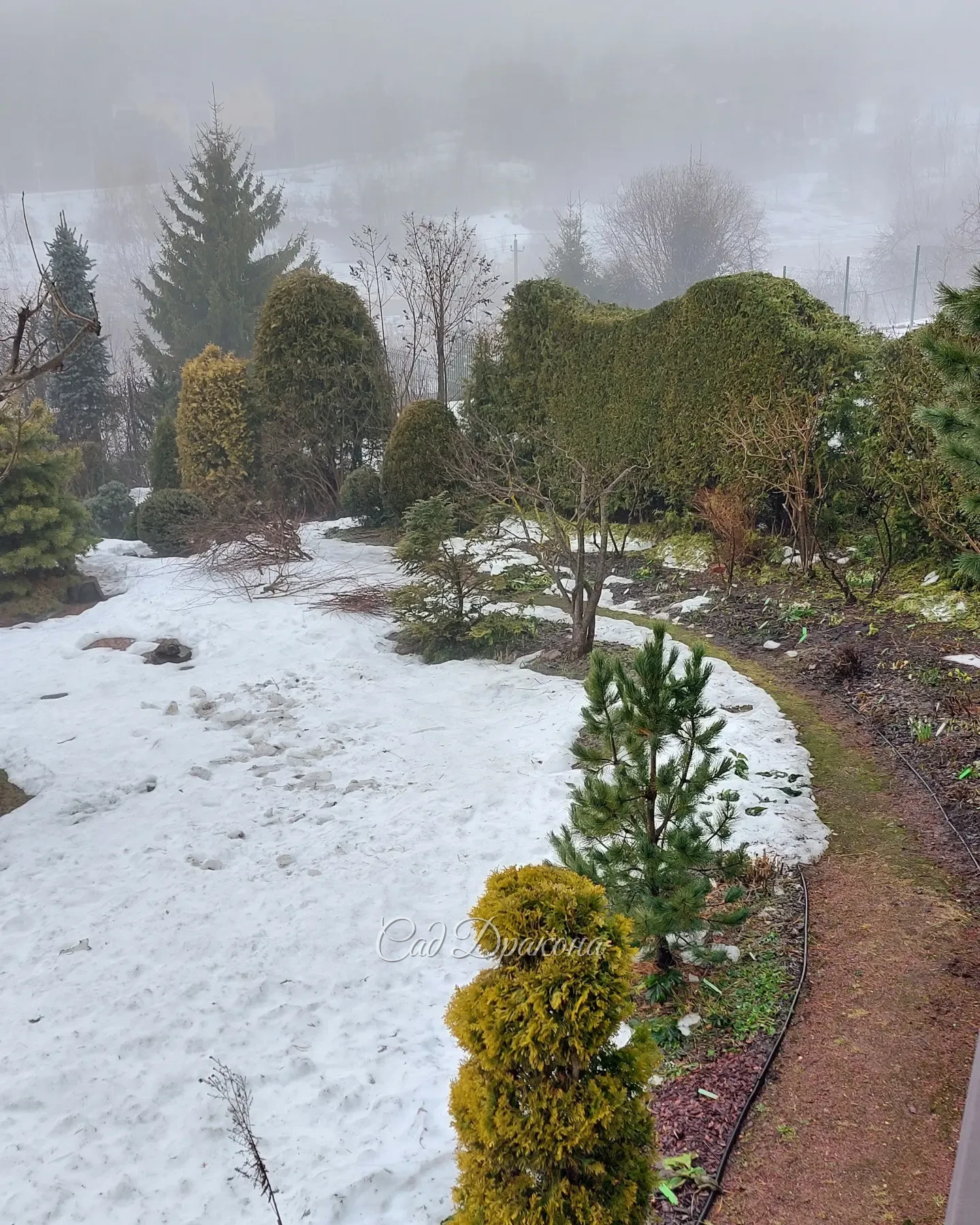 Солнце, тучи, дожди, туманы - какая разнообразная в этом году весна! ☀️🌧🌦