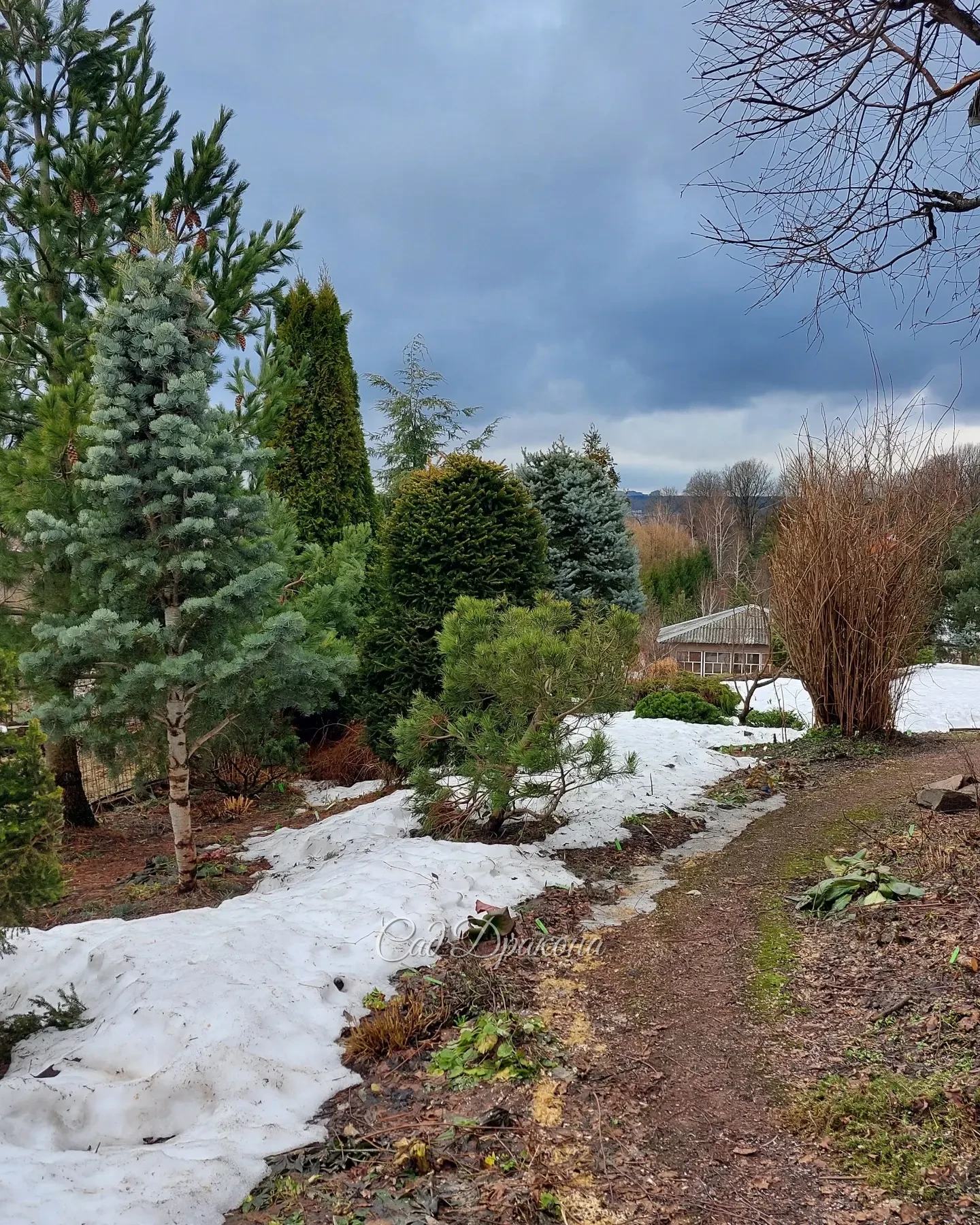 Солнце, тучи, дожди, туманы - какая разнообразная в этом году весна! ☀️🌧🌦