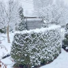 С 1м апреля! Природа пошутила ❄️❄️❄️😆