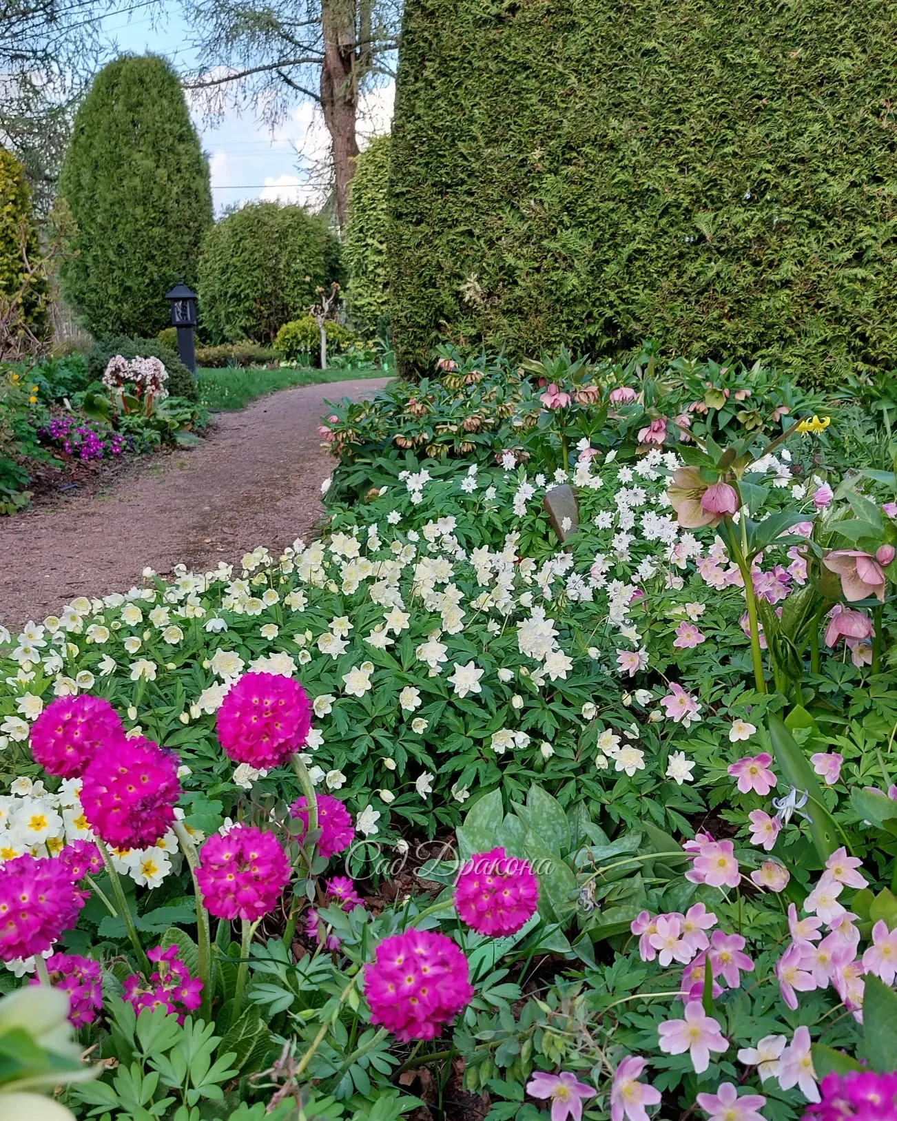 Сад цветёт всё пышнее 🌸☘️🌸☘️🌸