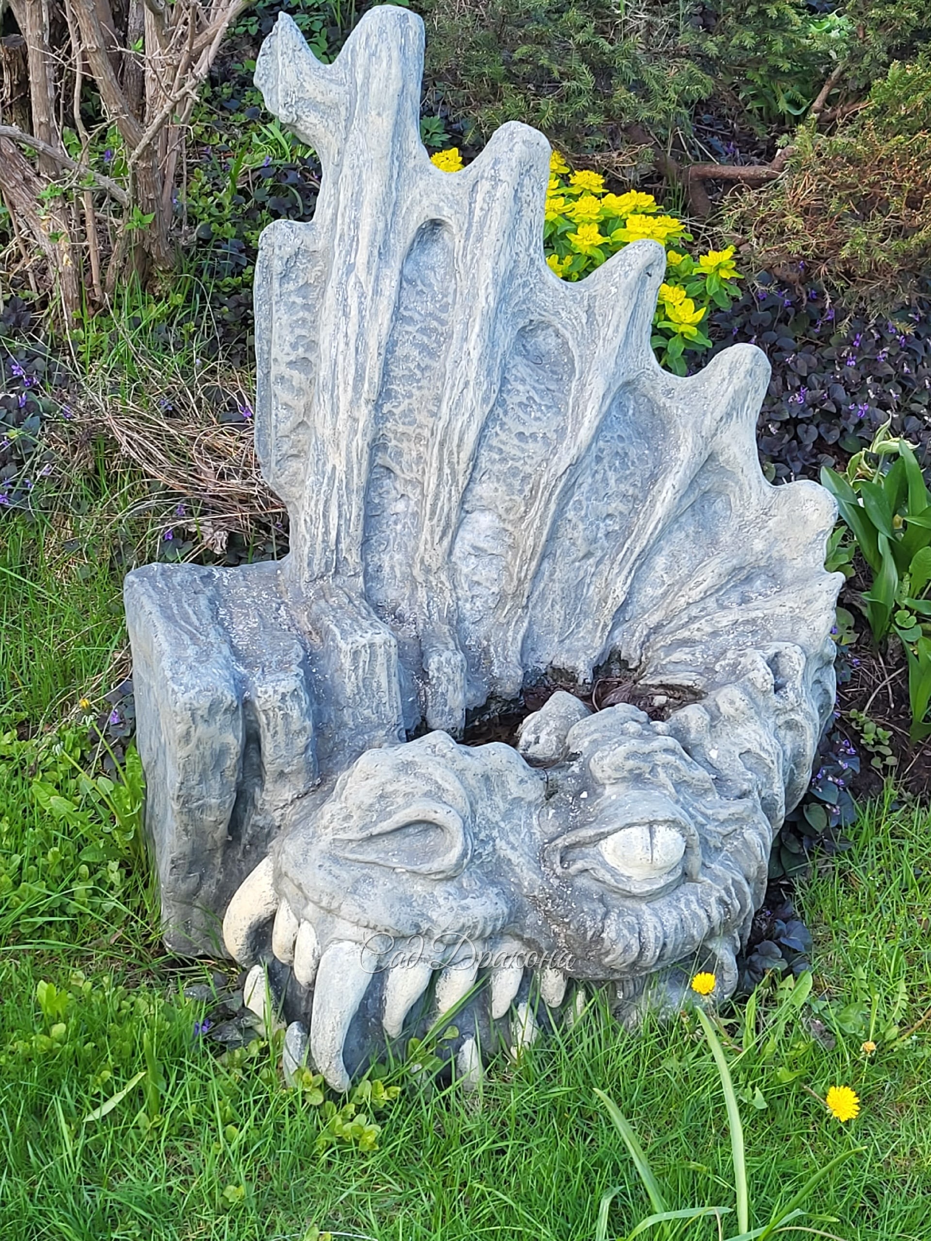 Недавно была в удивительном месте - Сад Дракона рядом с Икшей. Его владельцы и создатели Евгений Сапунов и Анна Покровская радушно встречают гостей и проводят экскурсии. Сад открыт для посетителей. Анна и Евгений люди, влюбленные в растения, собрали потря