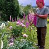 Наперстянки в этом году на диво - высокие и яркие 🌸 Они путешествуют по саду, иногда их меньше, иногда больше, но это лето явно "урожайное", их море! А начиналось всё с двух розовых, купленных на шоссе у "бабули" 😁 Как они умудрилась наплодить такие разны