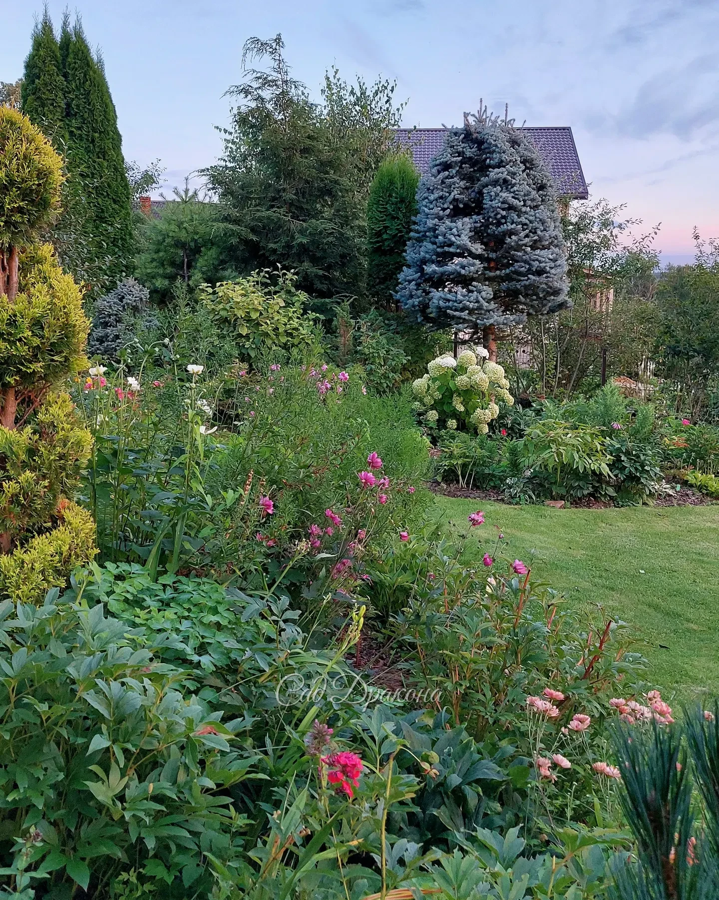 Тёплое лето, продлись, не уходи... 🙏😺🌿☀️🌸