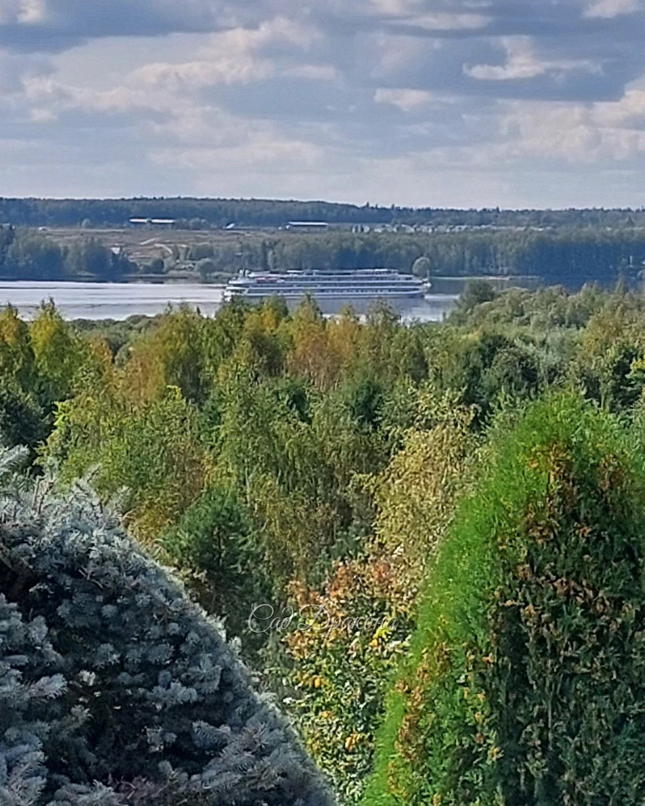 И снова здравствуй, бабье лето! 🌸 Сентябрь изумительный, столько тепла и солнца, мы до сих пор купаемся! 🏊‍♀️ Немножко напугал один холодный день, но сегодня опять красота ☺️☀️🌿🌸☘️