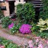 И снова здравствуй, бабье лето! 🌸 Сентябрь изумительный, столько тепла и солнца, мы до сих пор купаемся! 🏊‍♀️ Немножко напугал один холодный день, но сегодня опять красота ☺️☀️🌿🌸☘️